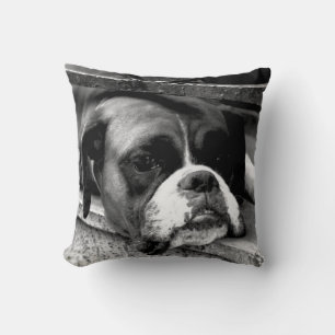 Boxerhond op vensterbank TPCNA Kussen