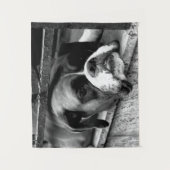 Boxerhond op vensterbank wtcna wandkleed (Voorkant)