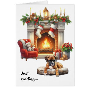 Boxerhond wacht op Kerstmis