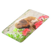 Boxerpuppy 4x6 fotomagneet magneet (Linkerzijde)