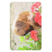 Boxerpuppy 4x6 fotomagneet magneet (Verticaal)