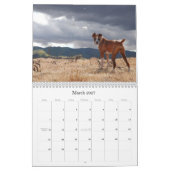 BOXERS 2010 KALENDER (Mar 2027)