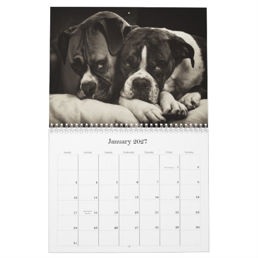 BOXERS 2010 KALENDER (Jan 2027)