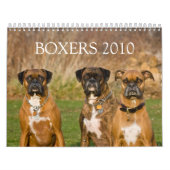 BOXERS 2010 KALENDER (Hoes)