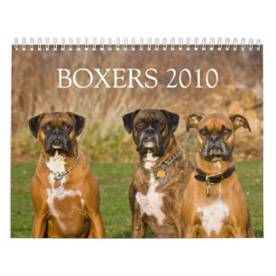 BOXERS 2010 KALENDER