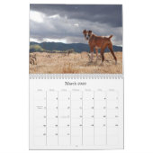 BOXERS 2010 KALENDER (Mar 2026)