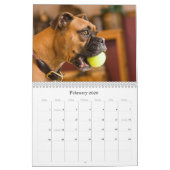 BOXERS 2010 KALENDER (Feb 2026)