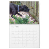 BOXERS 2018 CALENDAR KALENDER (Mar 2026)