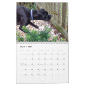 BOXERS 2018 CALENDAR KALENDER (Mar 2027)