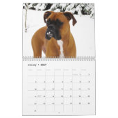 BOXERS 2018 CALENDAR KALENDER (Jan 2027)