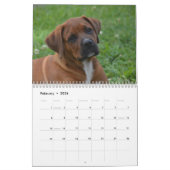 Boxers Dogs 2018 Kalender (Feb 2026)
