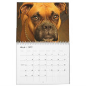 Boxers Dogs 2018 Kalender (Mar 2027)