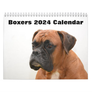 Boxers Honden 2024 Kalender