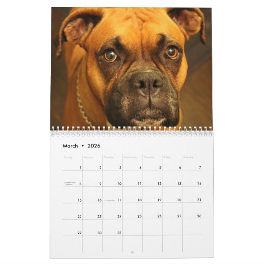 Boxers Honden 2025 Kalender (Mar 2026)