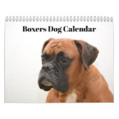 Boxers Honden 2025 Kalender (Hoes)