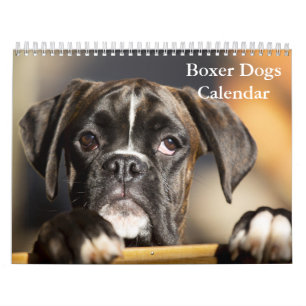 Boxers Honden 2025 Kalender
