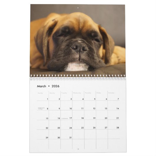 Boxers Honden Kalender 2025 (Mar 2026)