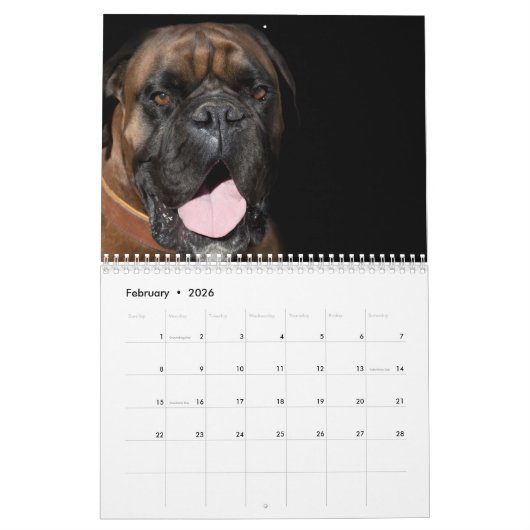 Boxers Honden Kalender 2025 (Feb 2026)