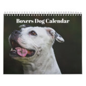 Boxers Honden Kalender 2025 (Hoes)