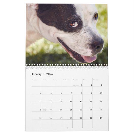 Boxers Honden Kalender 2025 (Jan 2026)