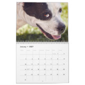 Boxers Honden Kalender 2025 (Jan 2027)