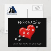 Boxers laten poetafdrukken achter op onze briefkaa briefkaart (Voorkant / Achterkant)