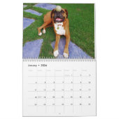 Boxers willen gewoon een un-agenda voor 2017 hebbe kalender (Jan 2026)