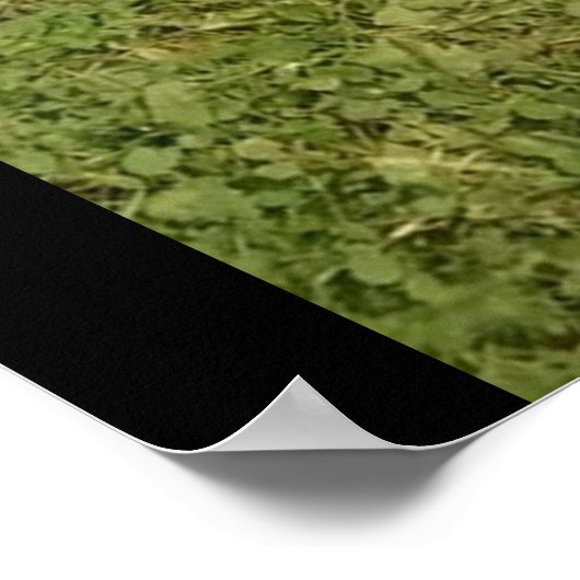 BOXERS ZIJN SPECIALE posters (Hoek)