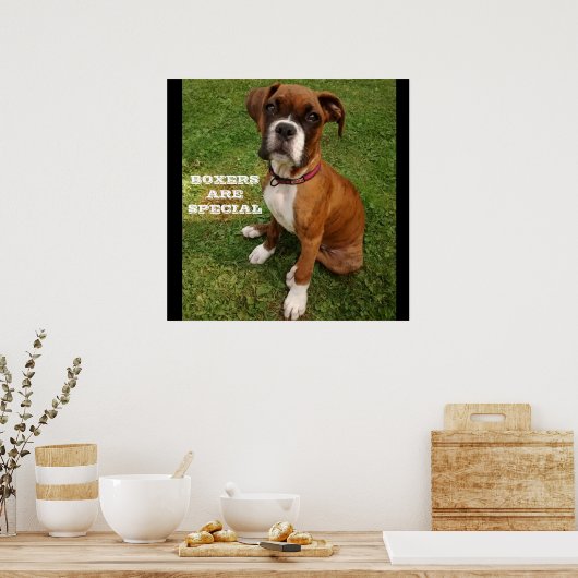 BOXERS ZIJN SPECIALE posters (Keuken)
