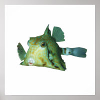 Boxfish - Abstract Ontwerp - Knippen uit een foto 
