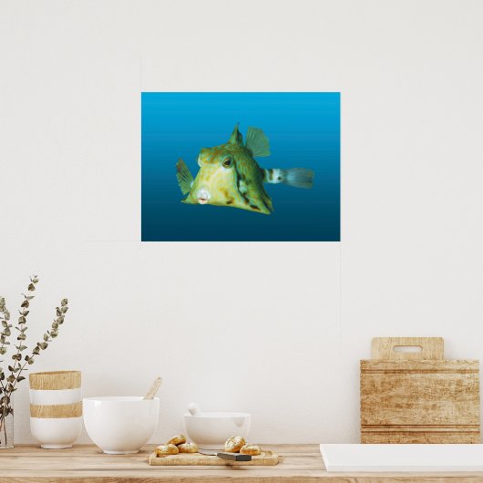 Boxfish Close-up! Verloopblauwe achtergrond | Poster (Keuken)