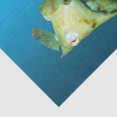 Boxfish Close-up! Verloopblauwe achtergrond | Tissuepapier (Detail)