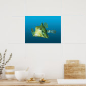 Boxfish Close-up! Verlopend blauwe achtergrond | Poster (Keuken)