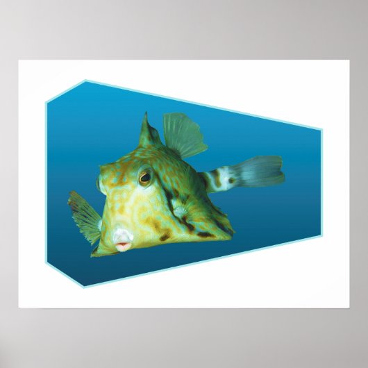 Boxfish - Ontwerp gradiënt blauwe achtergrond | Poster (Voorkant)