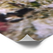 Boxfish Portret Poster (Hoek)