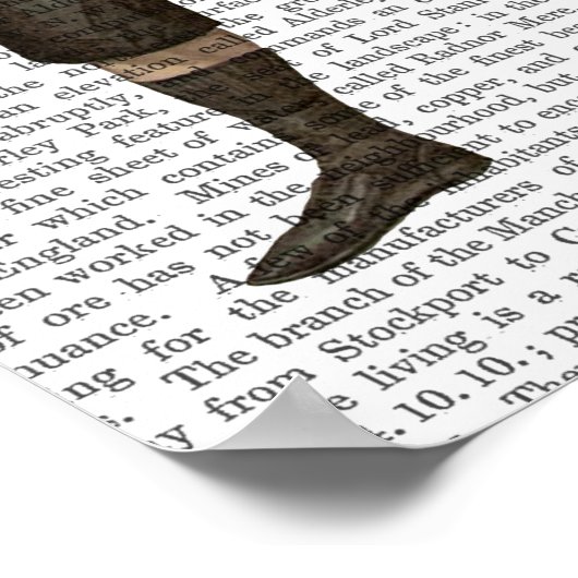 Boxing Bulldog Full Poster (Hoek)