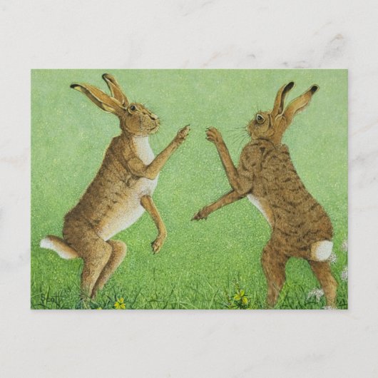Boxing Clever Briefkaart (Voorkant)