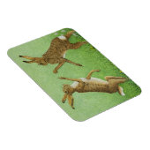 Boxing Clever Magneet (Rechterzijde)