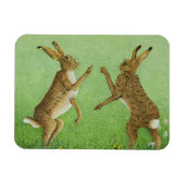 Boxing Clever Magneet (Horizontaal)