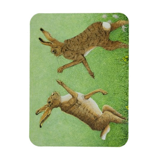 Boxing Clever Magneet (Verticaal)