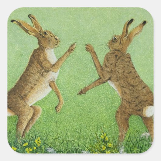 Boxing Clever Vierkante Sticker (Voorkant)