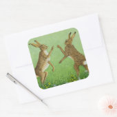 Boxing Clever Vierkante Sticker (Envelop)