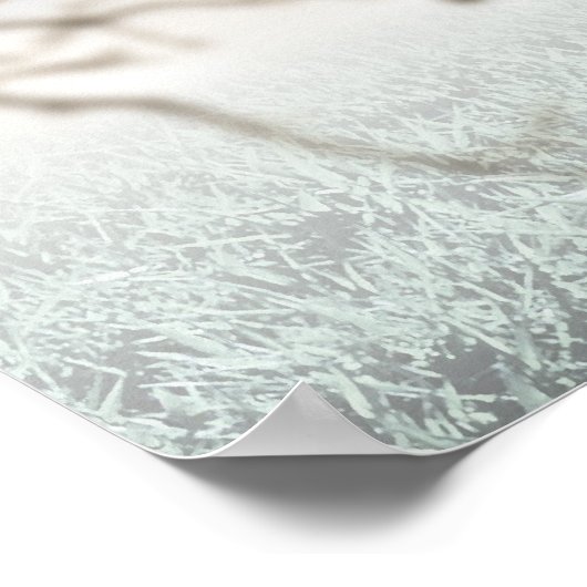 Boxing Hares Poster (Hoek)