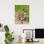 Boxing Kangaroo, Poster (Thuiskantoor)