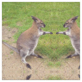 Boxing Kangaroos Fabric Stof (Close Up)