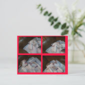 BOXING MATILDAS WAITIN ON SANTA FEESTDAGENKAART (Staand voorkant)