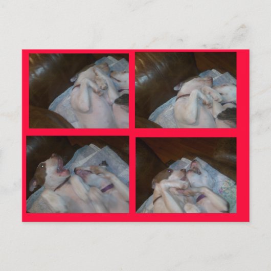 BOXING MATILDAS WAITIN ON SANTA FEESTDAGENKAART (Voorkant)