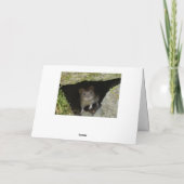 Boxinghazen Kaart (Achterkant)