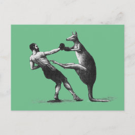 boxingkangoeroe briefkaart