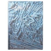 Boxknipsels: blauw klembord (Achterkant)